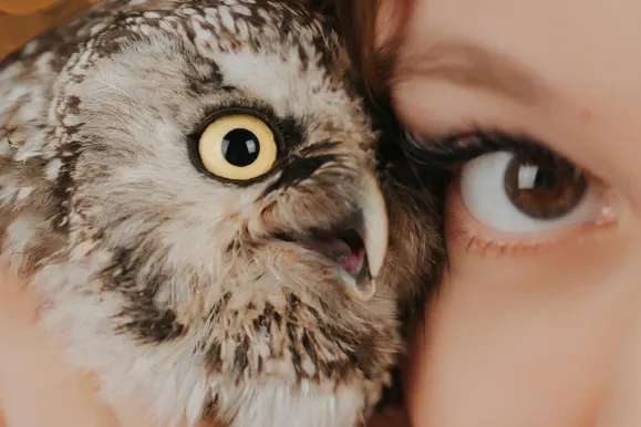 Casino Fever Bingo Podrška